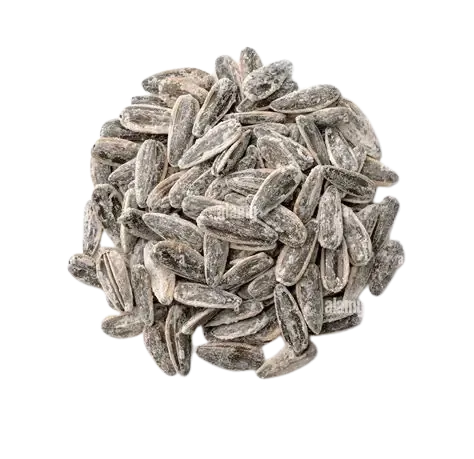 Salted Sunflower Seeds (Suraj Mukhi Namkeen Magaz)