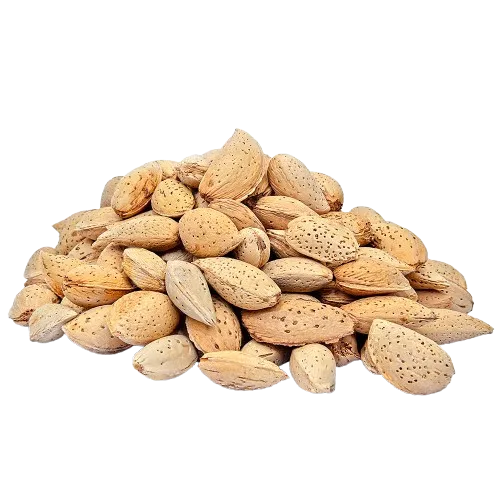 Kaghzi Badam