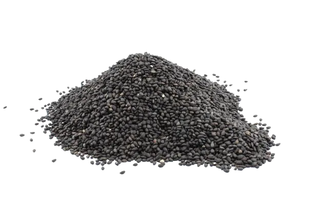 Tukh Malanga (Basil Seeds)
