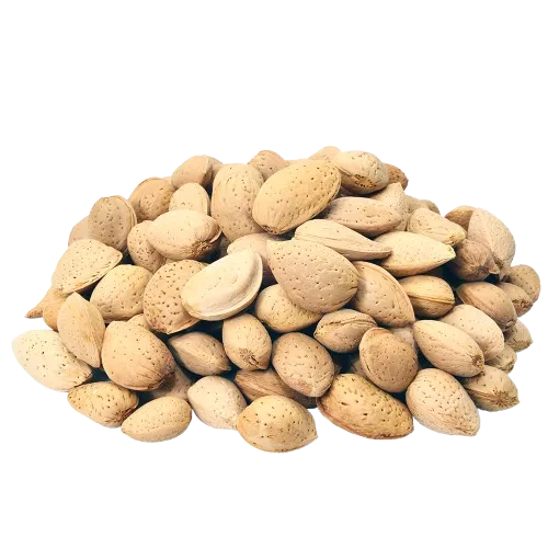 Katha Badam (Sabat)