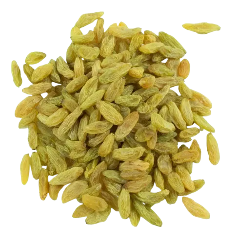 RAISIN (Desi Sunderkhani)