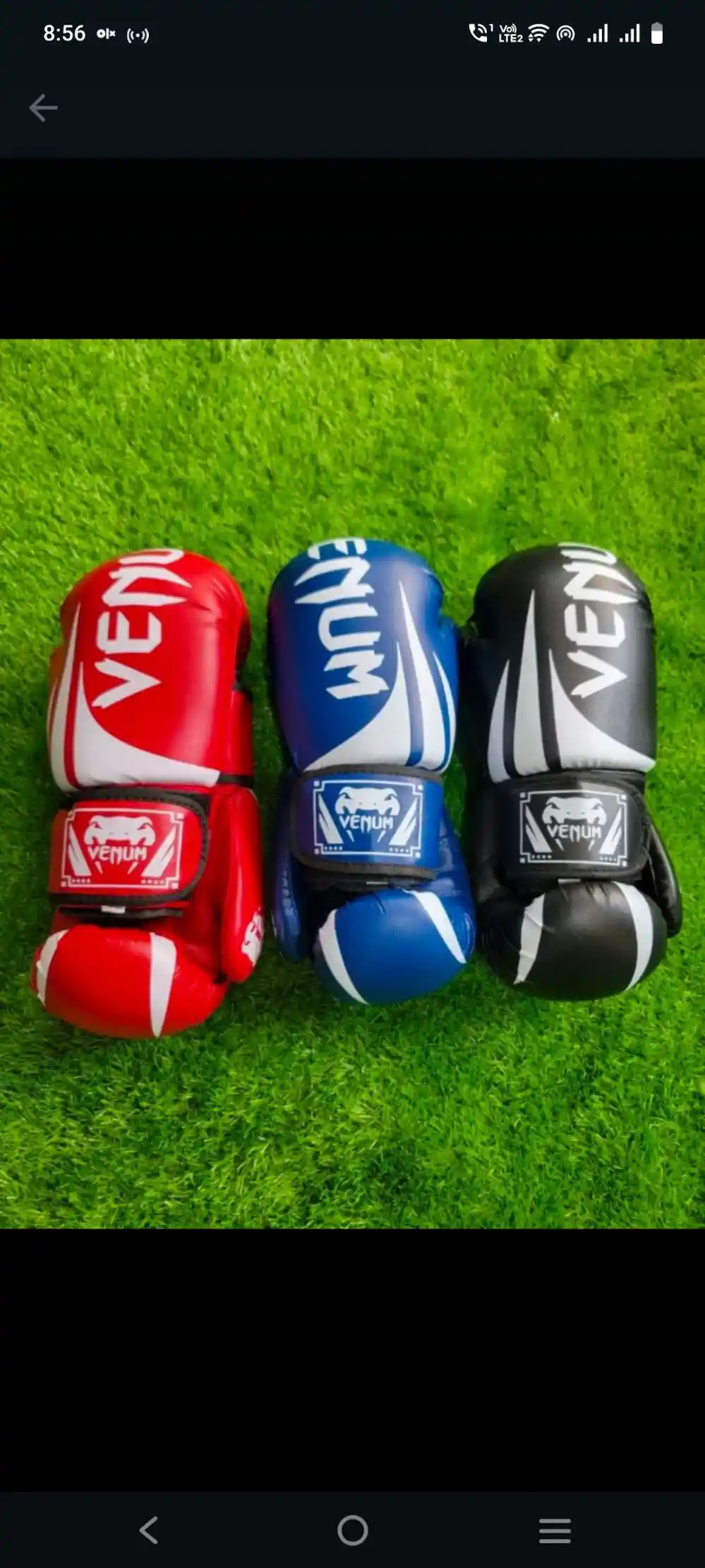 sports gloves
